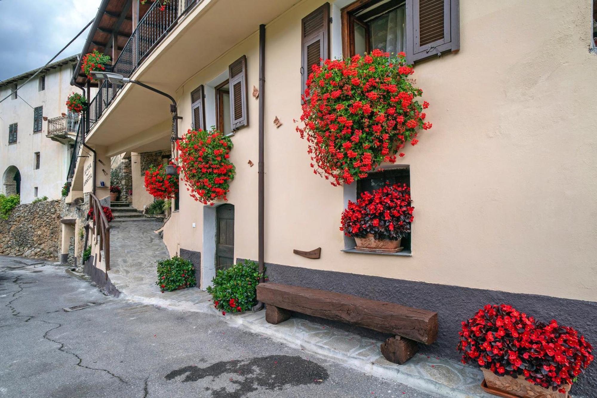 Agriturismo U' Spigu Nonna Annetta Villa Nasino Esterno foto