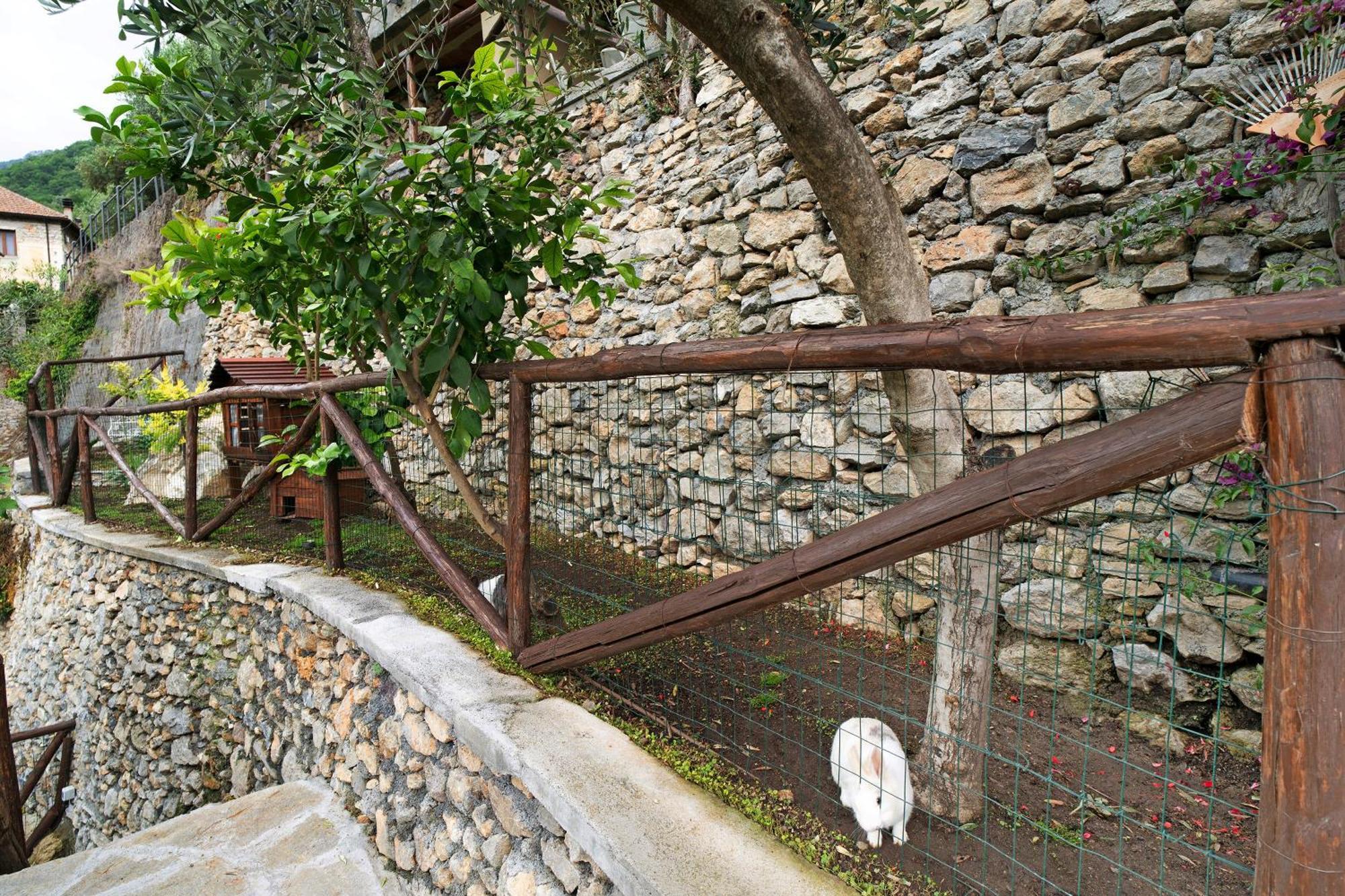 Agriturismo U' Spigu Nonna Annetta Nasino Esterno foto