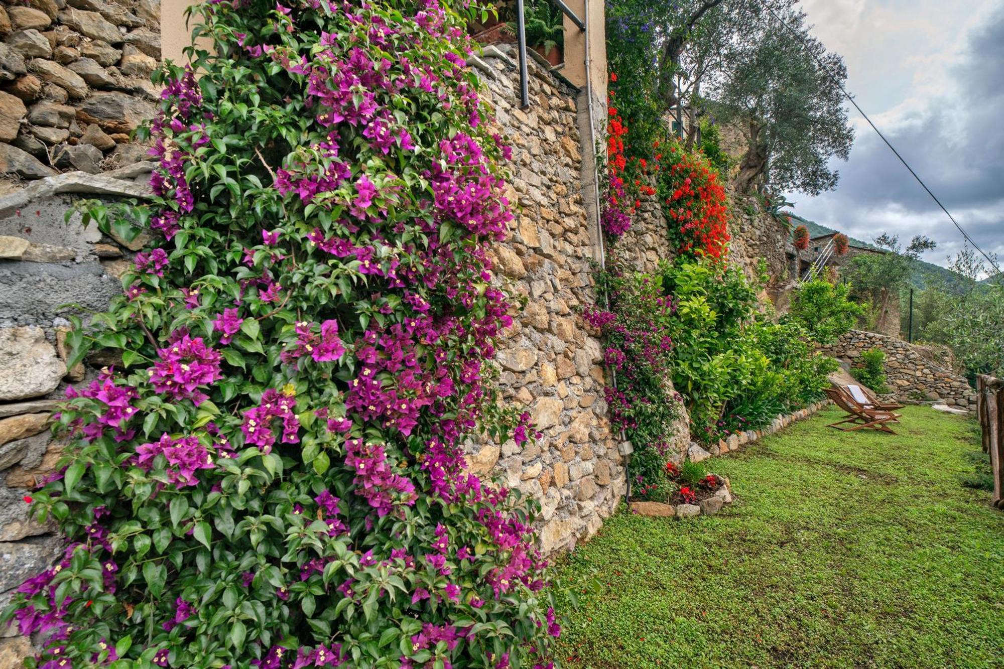 Agriturismo U' Spigu Nonna Annetta Nasino Esterno foto